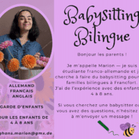 Vignette pour l'image de la liste principale